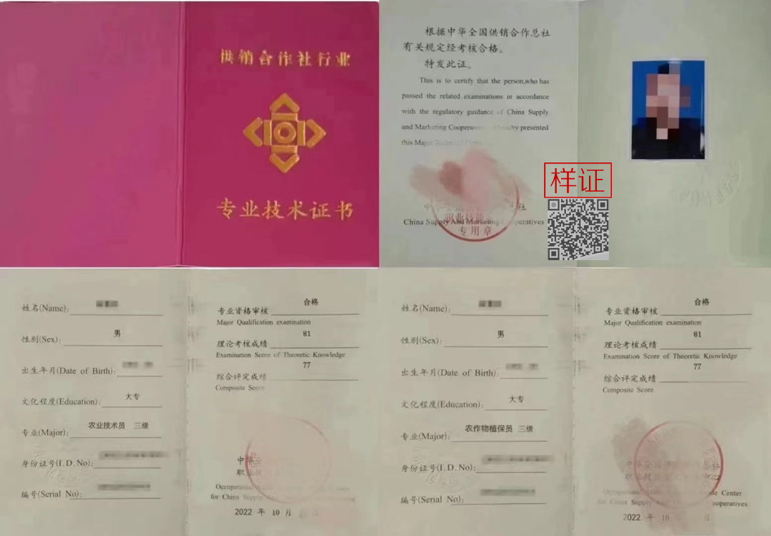 中华全国供销合作总社 证书样本1