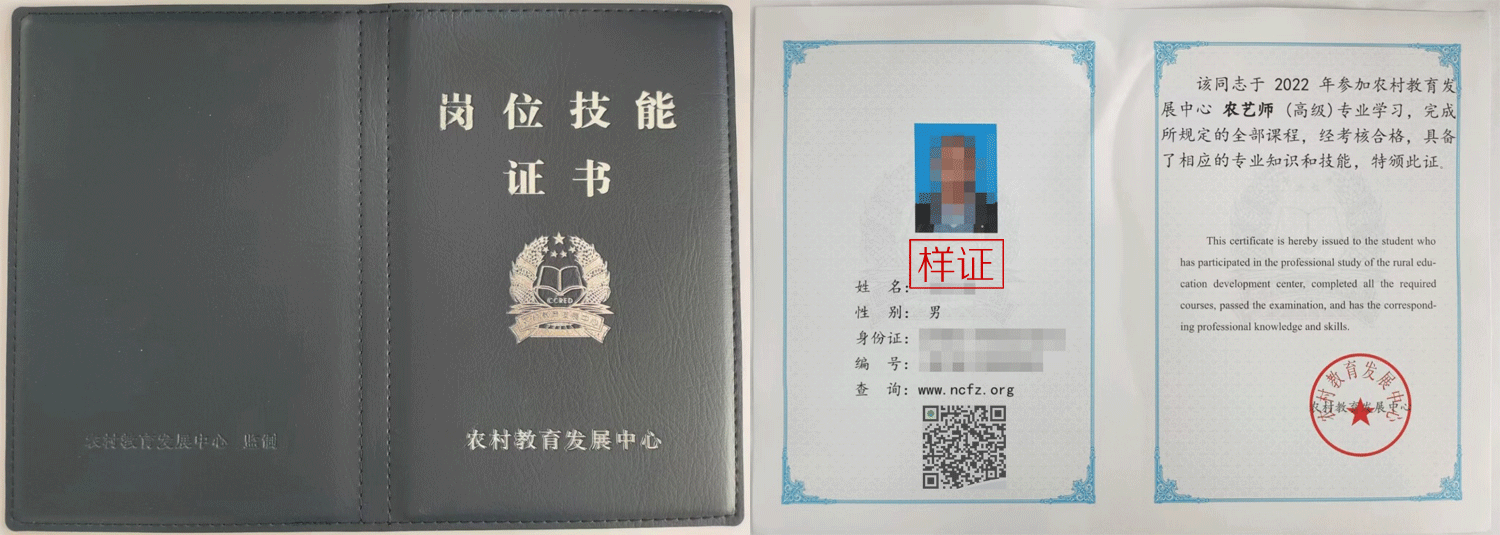 农村教育发展中心 证书样本1